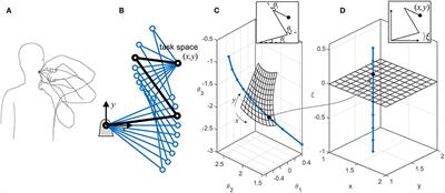 On the Relationship Between Muscle Synergies and Redundant Degrees of Freedom in Musculoskeletal Systems